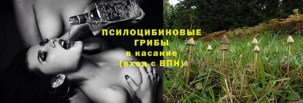 jwh Аркадак