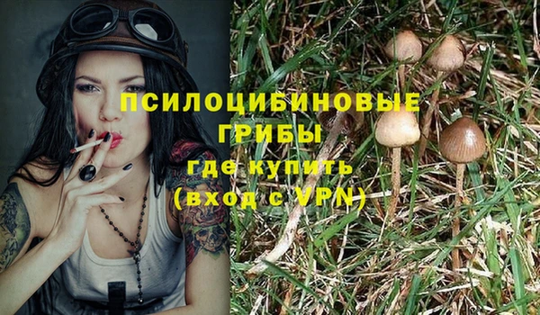 экстази Арсеньев