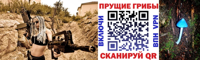 Галлюциногенные грибы Cubensis  Тара 